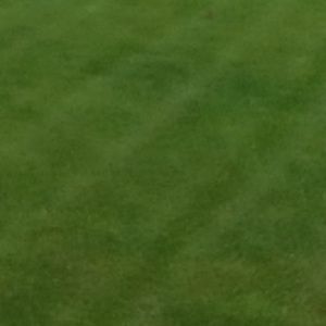 Meet your Posher, Blake